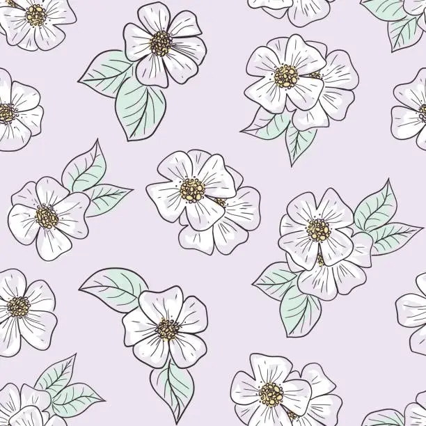 Vector illustration of Cute sketch or doodle style vector seamless pattern with cosmea or cosmos flowers on isolated background.Hand drawn illustration for wallpaper, wrapping paper, coverage, textile print and other design
