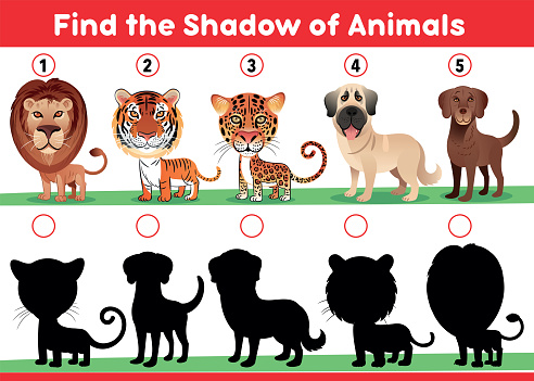 Find The Shadow Of Animals Stock Illustration - Download Image Now - In  Silhouette, Lion - Feline, Animal - iStock