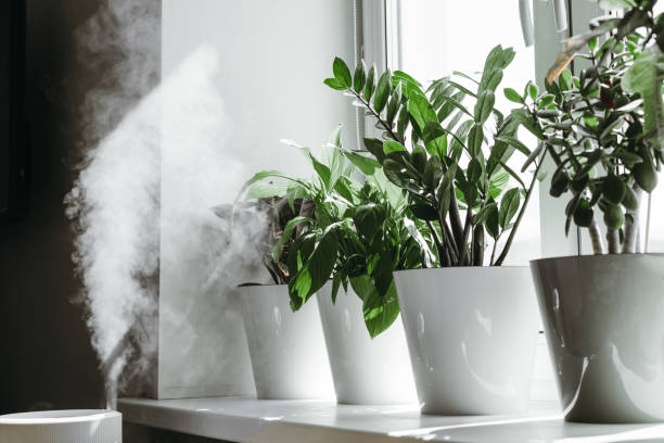 humidificación para el cultivo de flores. - humidifier steam home interior appliance fotografías e imágenes de stock