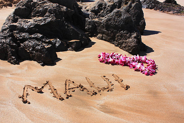 мауи в песок - black sand beach hawaii islands maui стоковые фото и изображения