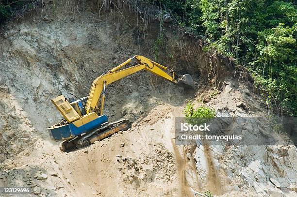 Photo libre de droit de Forêt De Destruction banque d'images et plus d'images libres de droit de Arbre - Arbre, Bulldozer, Carrière