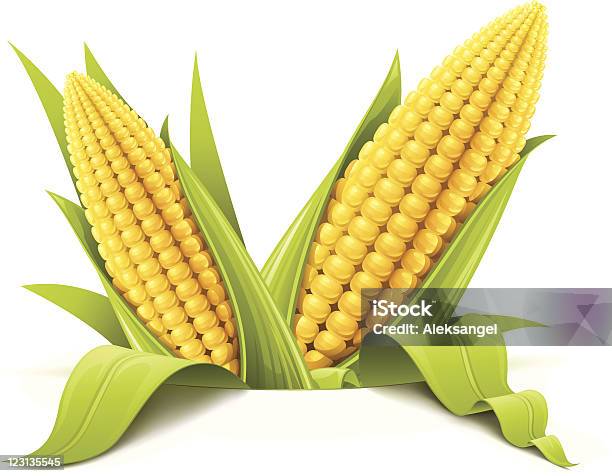 Couple Corncob Stock Illustration - Download Image Now - Corn - Crop, Corn, Corn On The Cob