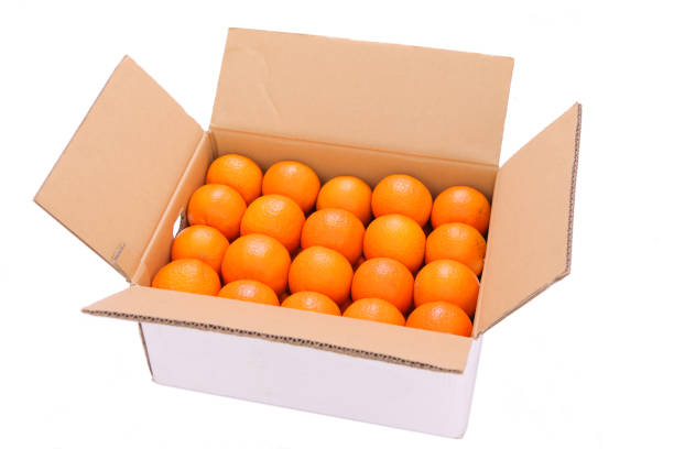 istock citrus tankan in a carton box 1231359277