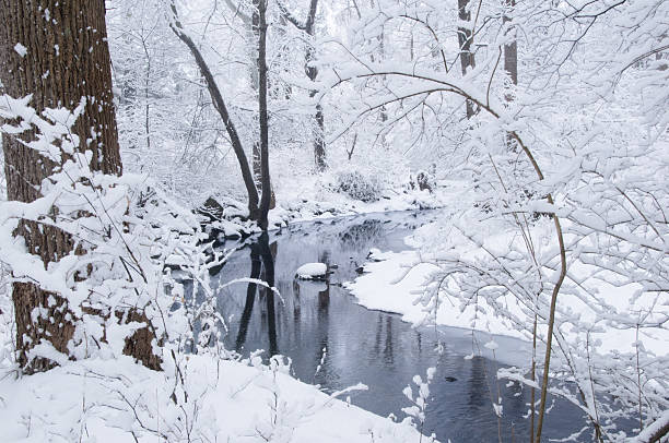 istock Snow covered stream banks 123144387