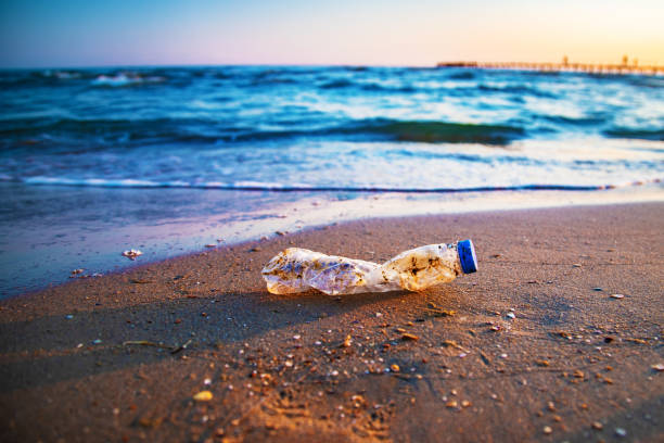 istock Bottle plastic on stone ground show long life garbage concept 1231497394