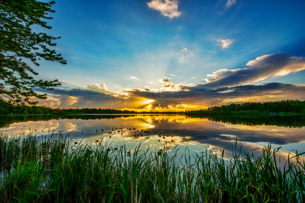 istock Sun on the Horizon caught in Clouds 1231587953