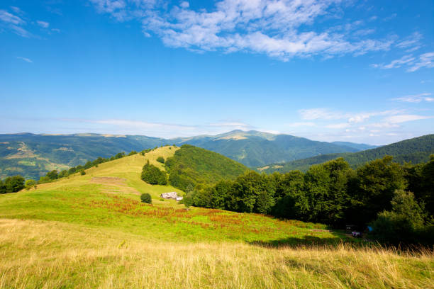 istock mountain landscape with green meadow 1231625399