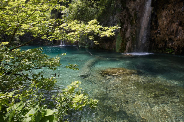 istock Blue lakes of Plitvice National Park 1231626641