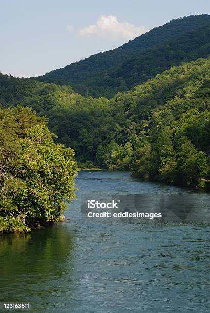 Mountain River Stockfoto und mehr Bilder von Appalachen-Region - Appalachen-Region, Bach, Baum