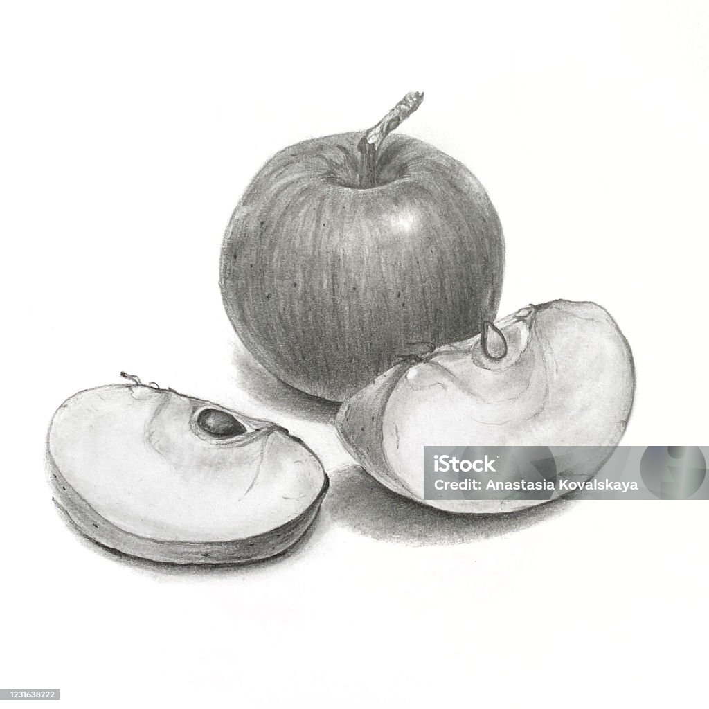 Ilustración de Ilustración De Manzanas De Lápiz Sobre Un Fondo Blanco y más  Vectores Libres de Derechos de Dibujo al lápiz - iStock
