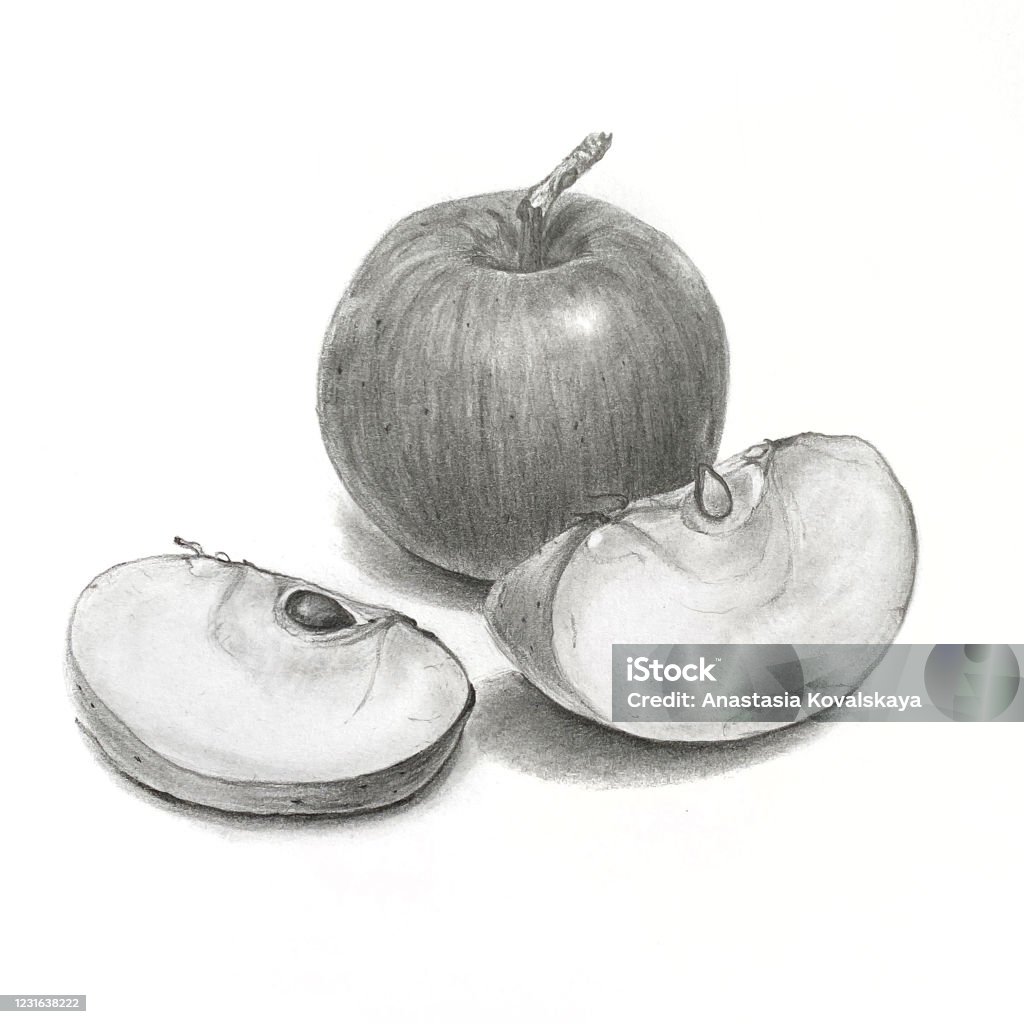 Ilustración de Ilustración De Manzanas De Lápiz Sobre Un Fondo Blanco y más Vectores Libres de Derechos de Dibujo al lápiz - iStock Ilustración de Ilustración De Manzanas De Lápiz Sobre Un Fondo Blanco y más Vectores Libres de Derechos de Dibujo al lápiz - iStock