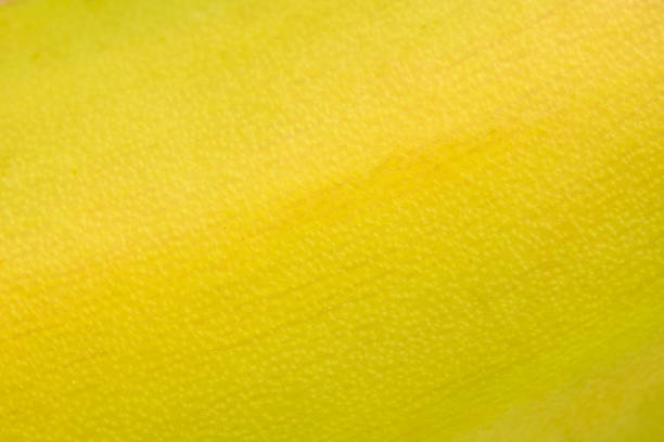 Abstract wallpaper macro background: Banana peel