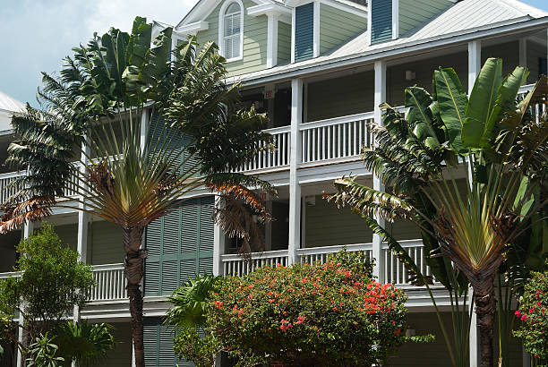 istock Travelers palm trees and home 123164527