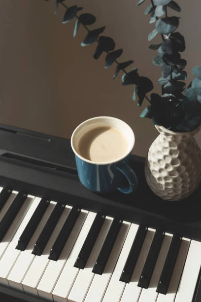 istock Eucalyptus in a vase on the piano. Background. 1231656636