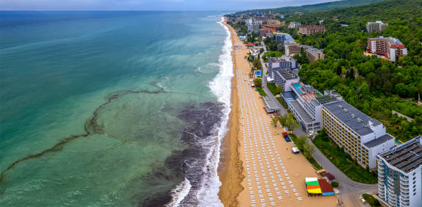 Paradise beach Paradise beach from an aerial drone perspective, Golden Sands, Bulgaria bulgaria stock pictures, royalty-free photos & images