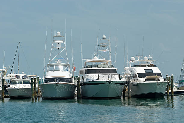 istock Row of Boats 123167623