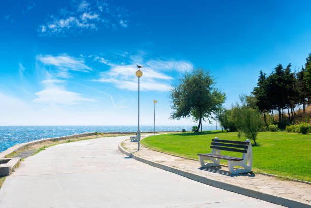 istock bench on the sea embankment 1231677656