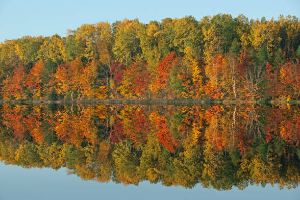 istock Autumn Reflections Moccasin Lake 1231681213