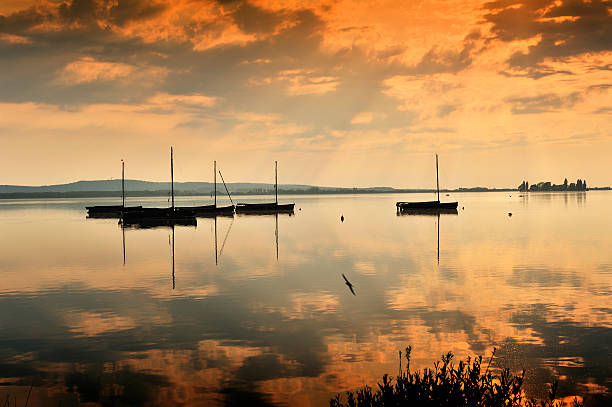 steinhuder meer - steinhuder meer foto e immagini stock