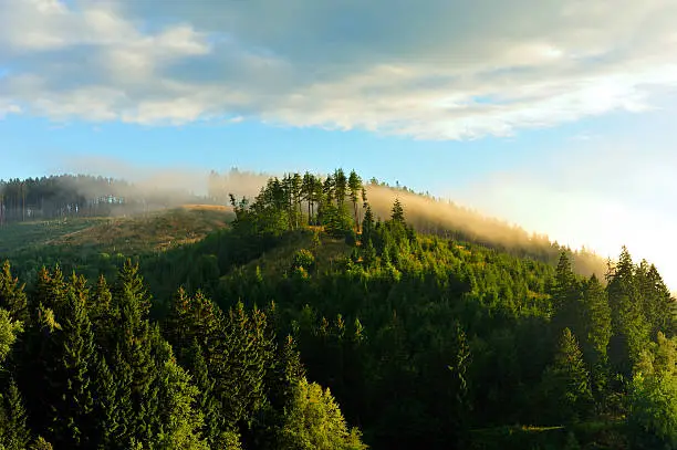 Misty landscape in Sösestausee Altenau,Germany