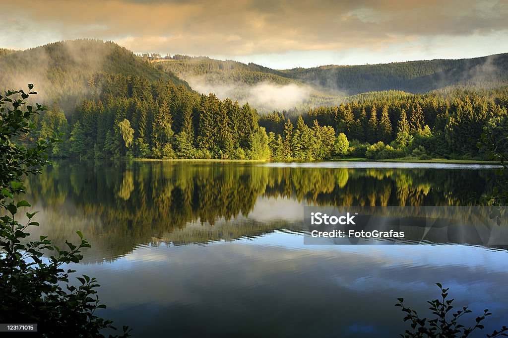 A stunning view of Se_sestausee in Harz,Germany Misty landscape in Sösestausee,Altenau,Harz,Germany. Harz Mountain Stock Photo