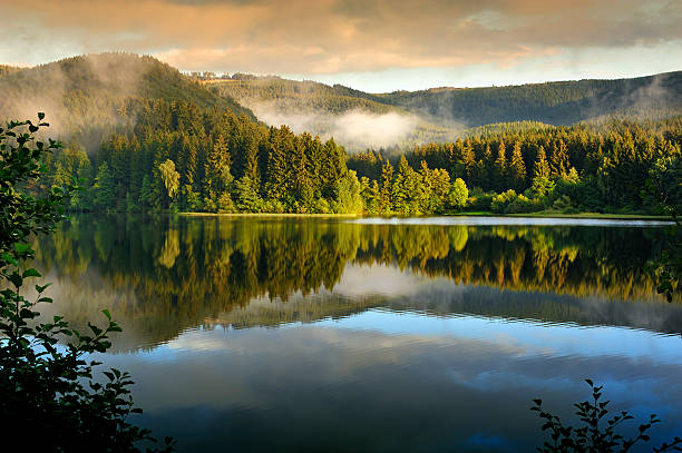 sösestausee в харцкая, германия. - mountain reflection non urban scene moody sky стоковые фото и изображения