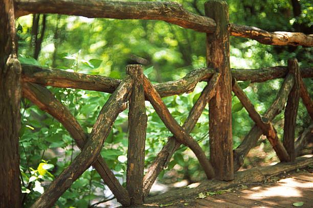 Woodland countryside footbridge with gates with green foliage