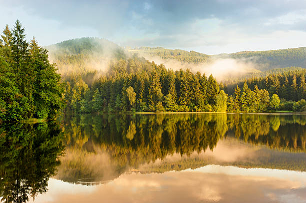 sösestausee harz, in germania. - meteorology rain fog forest foto e immagini stock