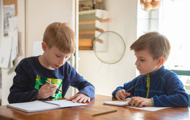 istock Brothers learning at home, Homeschooling 1231727134
