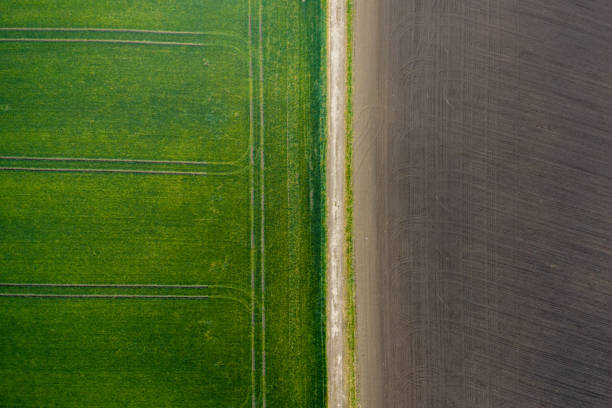 istock agriculture land drone view 1231742120