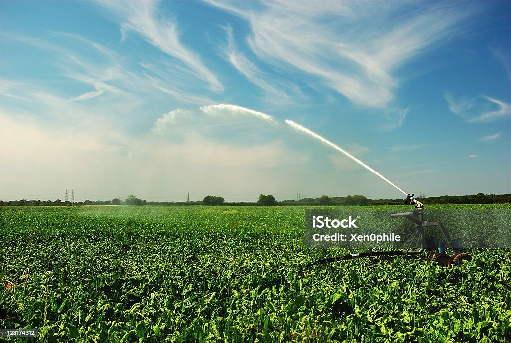 Irrigação - Foto de stock de Equipamento de Irrigação royalty-free