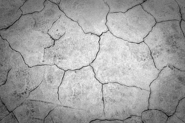 istock Crack soil on dry season, Global worming effect. 1231757292