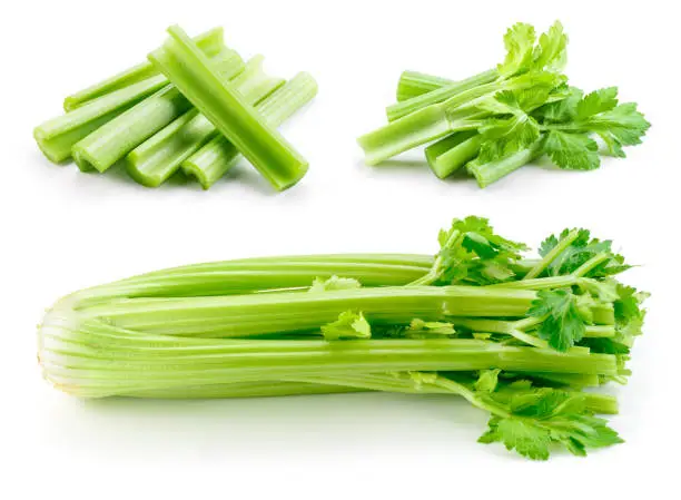 Celery stalk isolated. Celery sticks on white. Green celery with leaves. Set on white background.