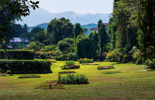 Scenic Royal Botanical Gardens in Kandy Sri Lanka. Asian tropical landscape travel scenery