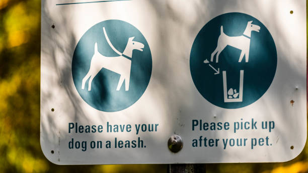istock A dog on a leash sign at a park. 1231830261