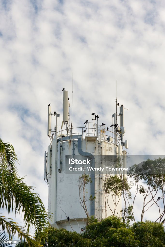 Crows na Water Tower - Zbiór zdjęć royalty-free (Antena)