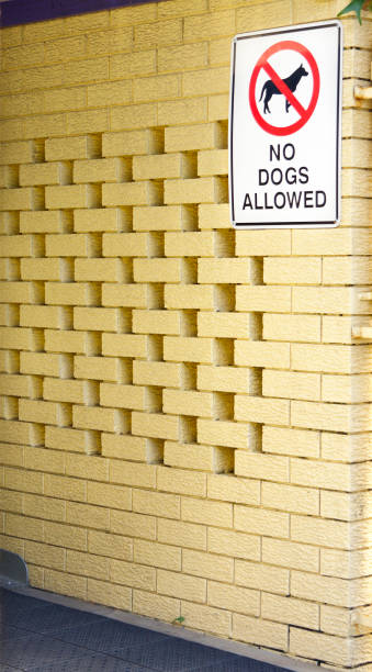 istock No Dogs Allowed sign on a yellow brick wall 123184290
