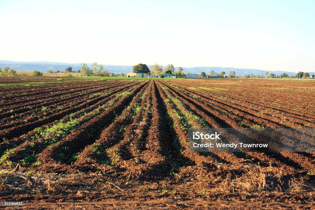 Höheren Lagen Feld mit landwirtschaftlichen Gebäuden und Hügel hinter - Lizenzfrei Brachacker Stock-Foto
