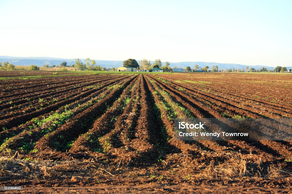 Desarrollemos campo de granja edificios y detrás de colinas - Foto de stock de Barbecho libre de derechos