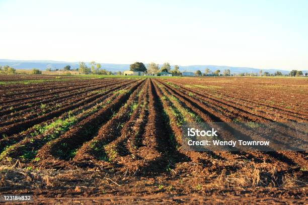 Desarrollemos Campo De Granja Edificios Y Detrás De Colinas Foto de stock y más banco de imágenes de Barbecho