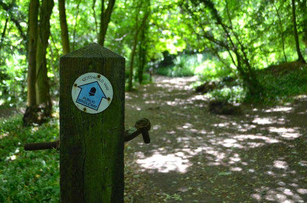 istock Cotswold Way sign in woodland. 1231849577