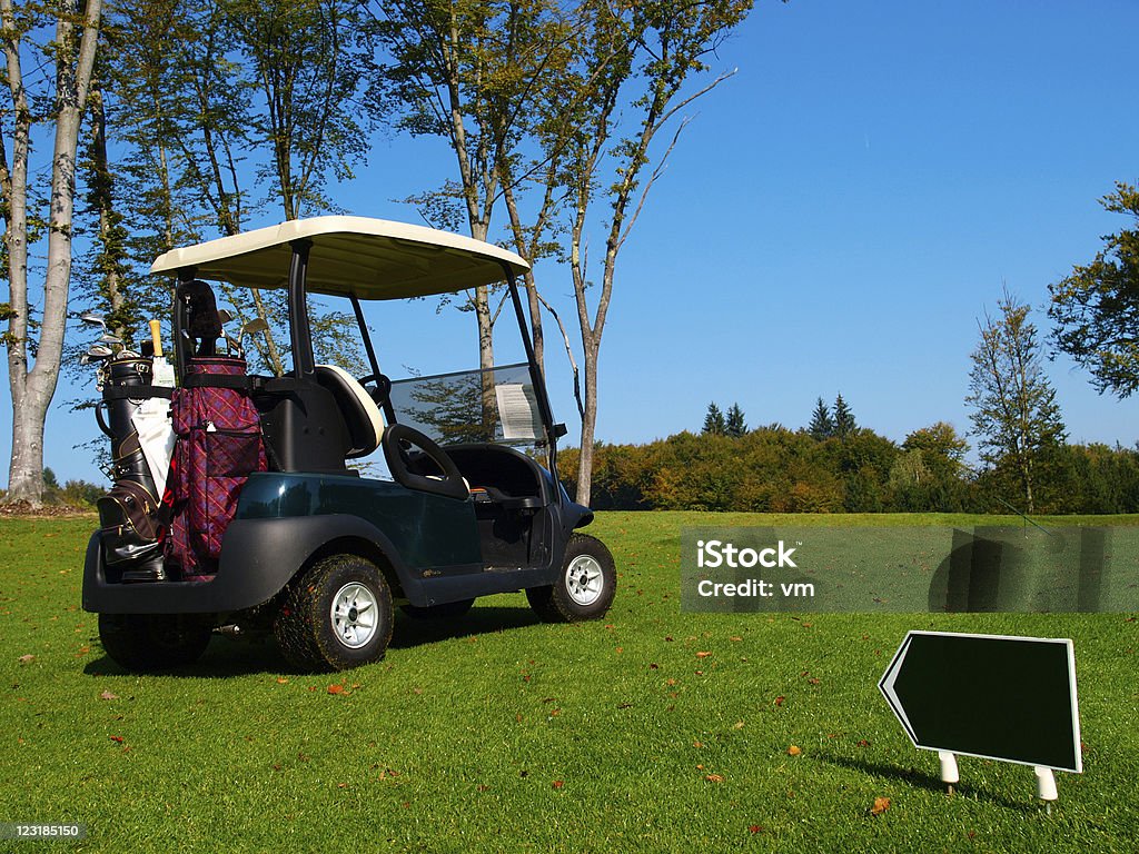 Golfcourse - Foto stock royalty-free di Albero