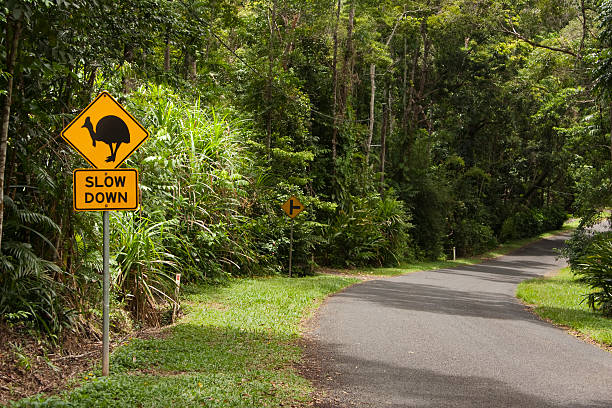 Cassowary, slow down, sign and road stock photo