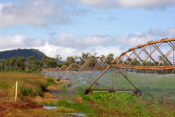 A field being spray irrigated with blue sky and clouds overhead.
