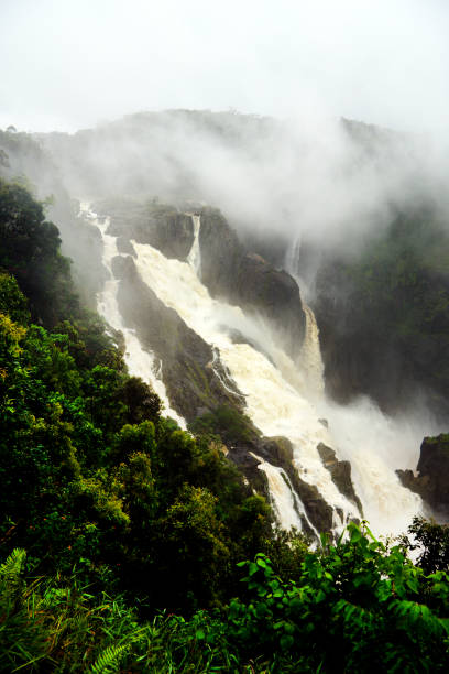 barron de um destino turístico com lotes de água - cairns monsoon queensland waterfall imagens e fotografias de stock