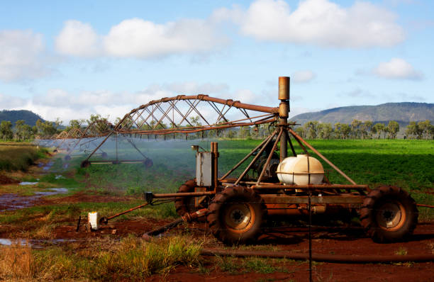 Agricultural irrigation system watering field of paprika on sunny summer day.