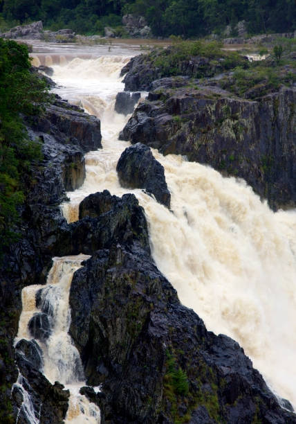 turista destino barron quedas, queensland, na austrália - cairns monsoon queensland waterfall imagens e fotografias de stock