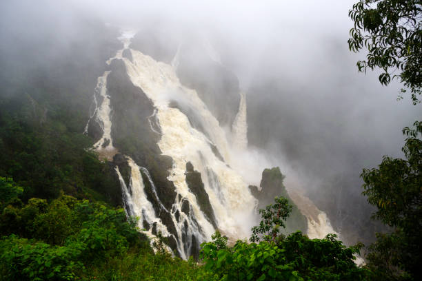 barron falls im nebel - tropical rainforest waterfall rainforest australia stock-fotos und bilder