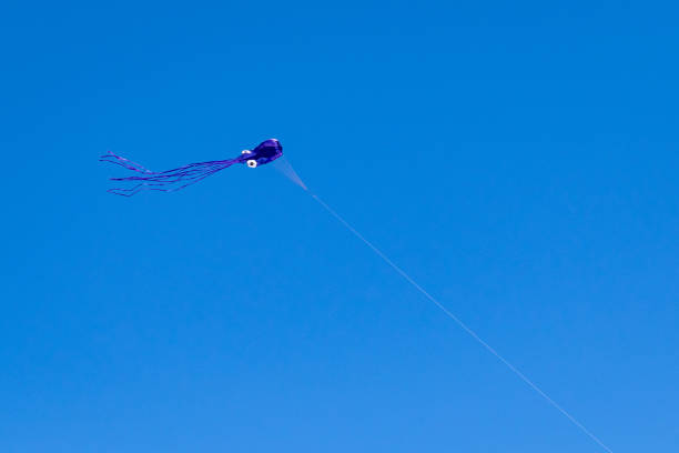 Single kite stock photo