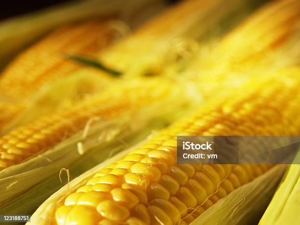 Fresh Corn Stock Photo - Download Image Now - Agriculture, Cereal Plant, Close-up